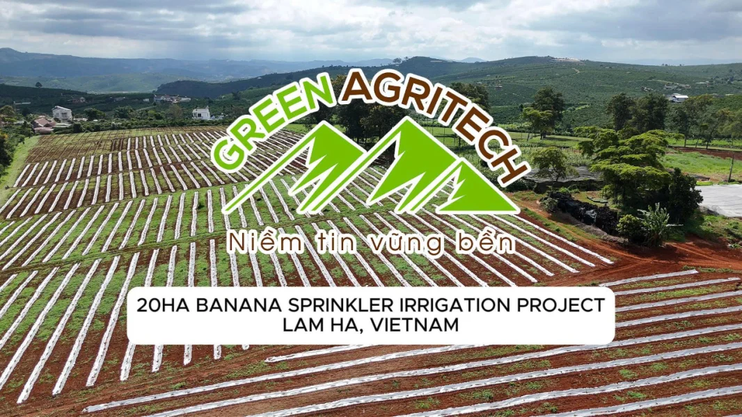 Cùng Khám Phá Hệ Thống Tưới Phun Mưa Cho 20 HA Chuối Tại Lâm Hà | Green Agritech