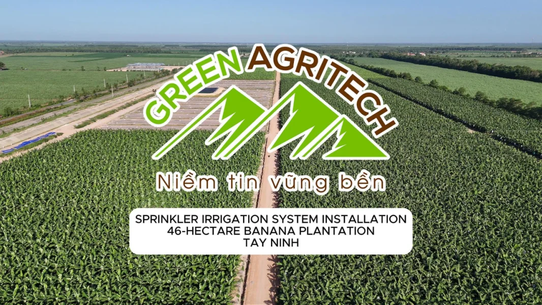 Green Agritech triển khai hệ thống tưới cho 46ha chuối tại Tây Ninh | Green Agritech