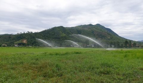 Hệ thống tưới phun mưa tầm cao cho 4.6ha cỏ - Nha Trang