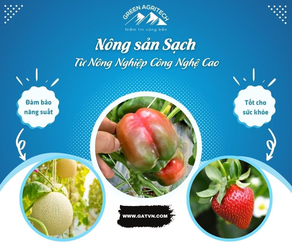 Nông nghiệp công nghệ cao tạo ra nông sản sạch