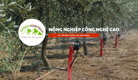 Nông nghiệp công nghệ cao xu thế bền vững cho nhà nông