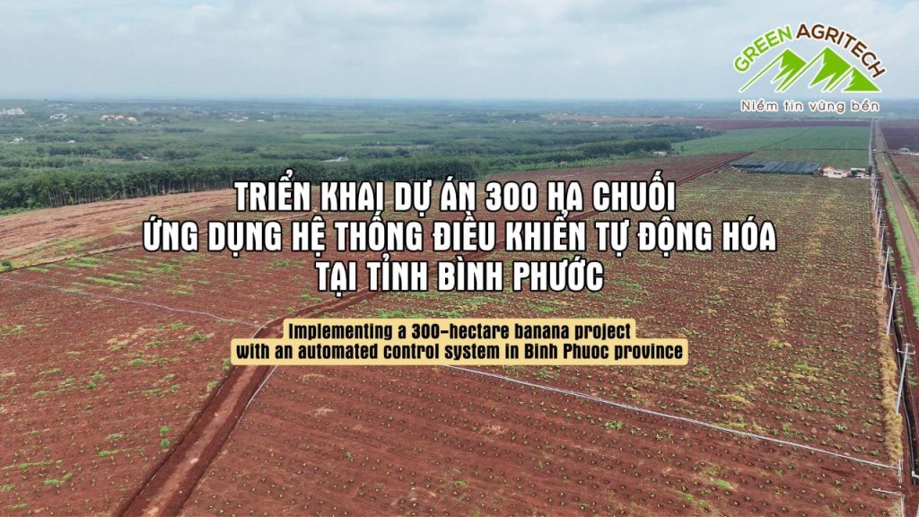 Triển khai thi công dự án 300Ha Chuối ứng dụng hệ thống điều khiển tự động hóa tại Bình Phước