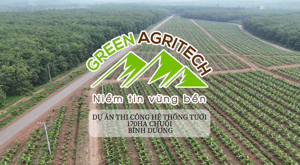 Triển khai và thi công dự án Chuối 170ha tại Bình Dương – Giải pháp hệ thống tưới từ Green Agritech