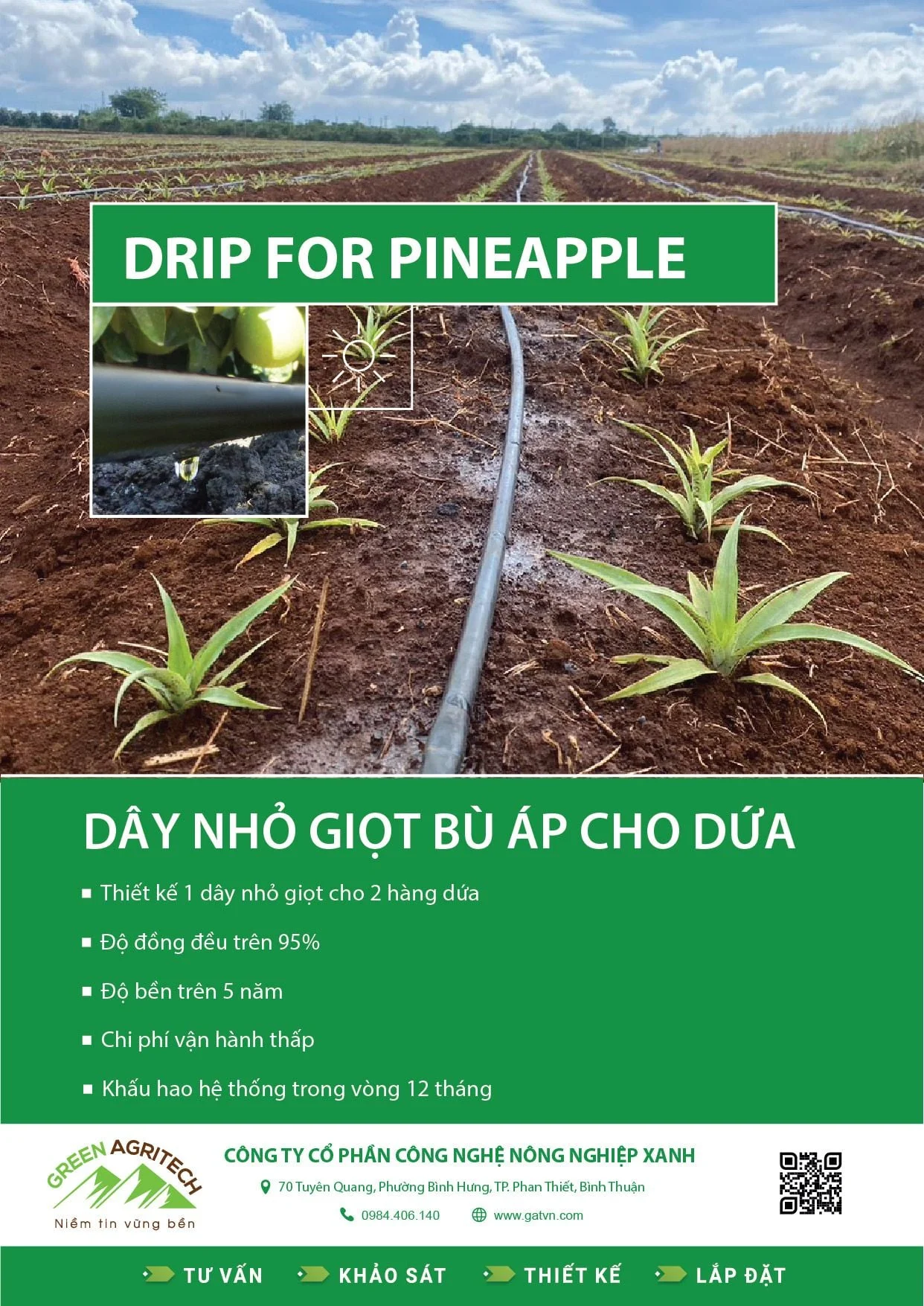 Dây tưới nhỏ giọt cho Dứa
