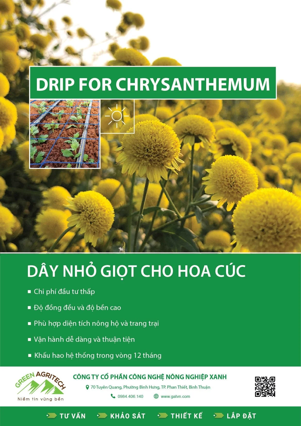 Dây tưới nhỏ giọt cho hoa Cúc