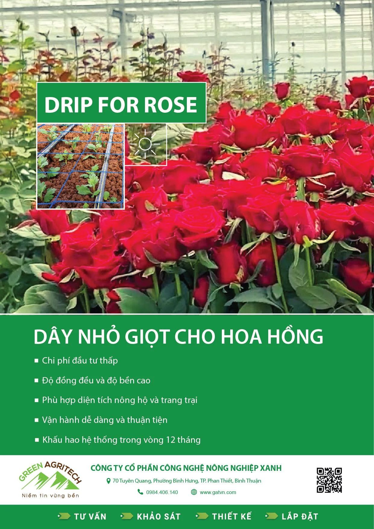 Dây tưới nhỏ giọt cho hoa Hồng