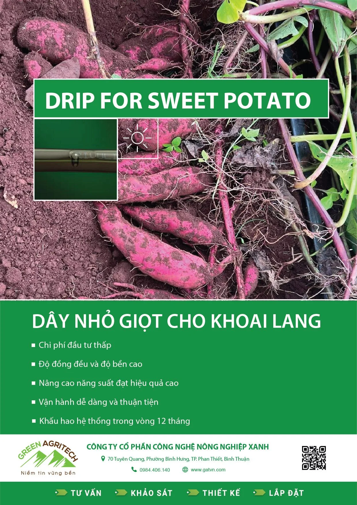 Dây tưới nhỏ giọt cho Khoai Lang