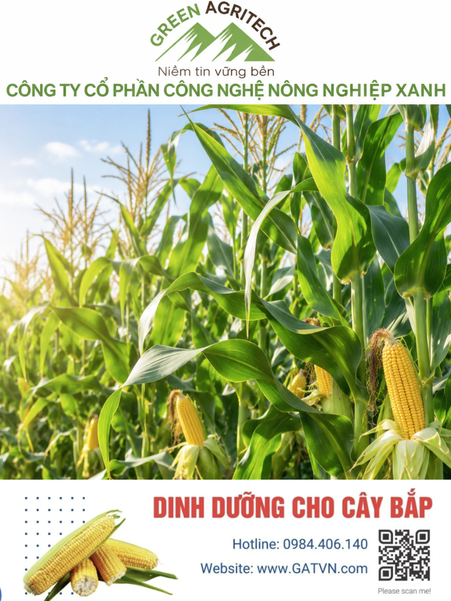 Dinh dưỡng cho cây bắp - Phân bón hòa tan Gatit