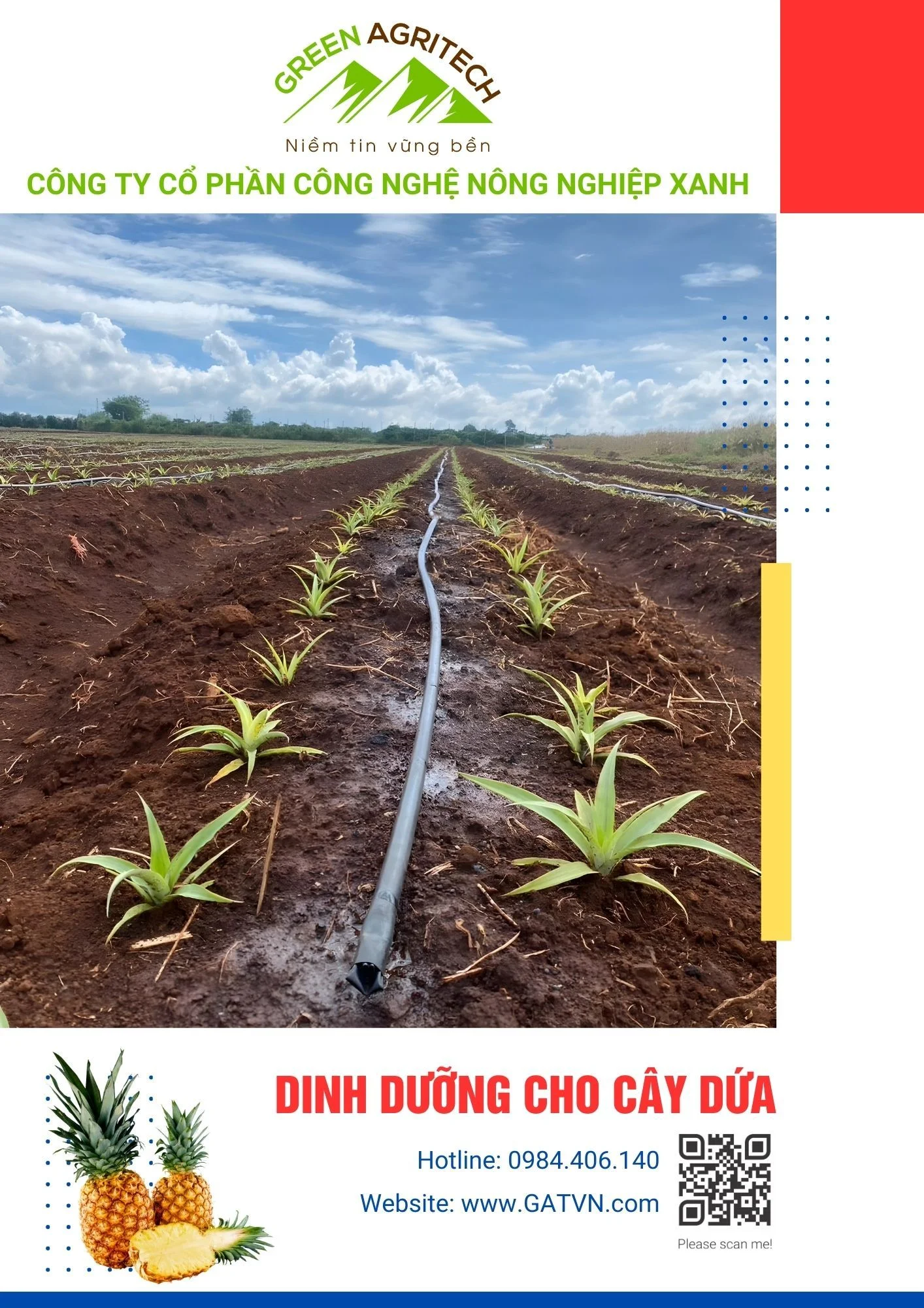 Dinh dưỡng cho cây dứa - Phân bón hòa tan Gatit