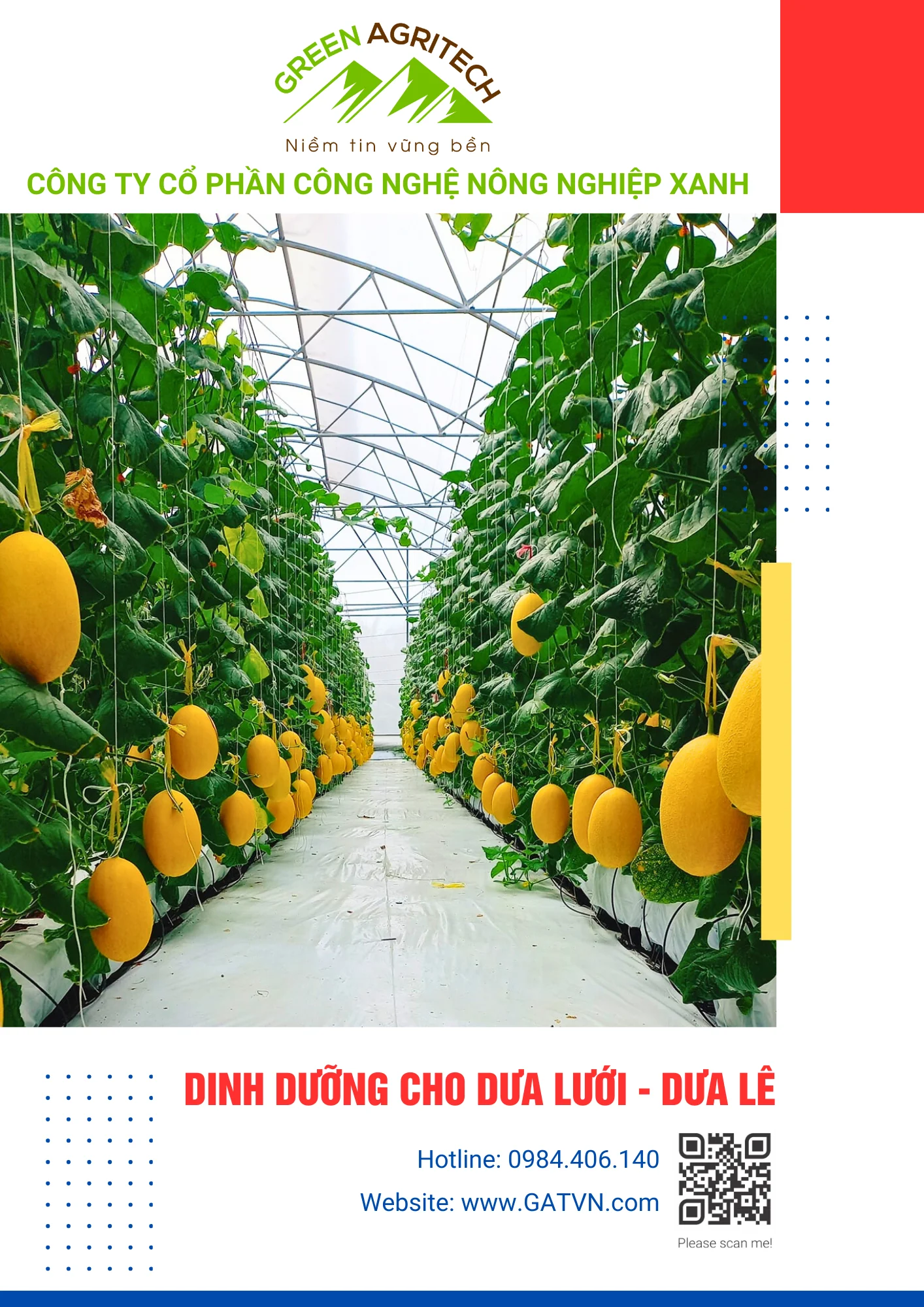 Dinh dưỡng cho Dưa Lưới, Dưa Lê - Phân bón hòa tan Gatit