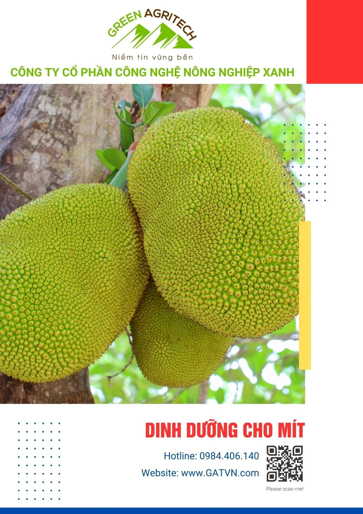 Dinh dưỡng cho Mít - Phân bón hòa tan Gatit