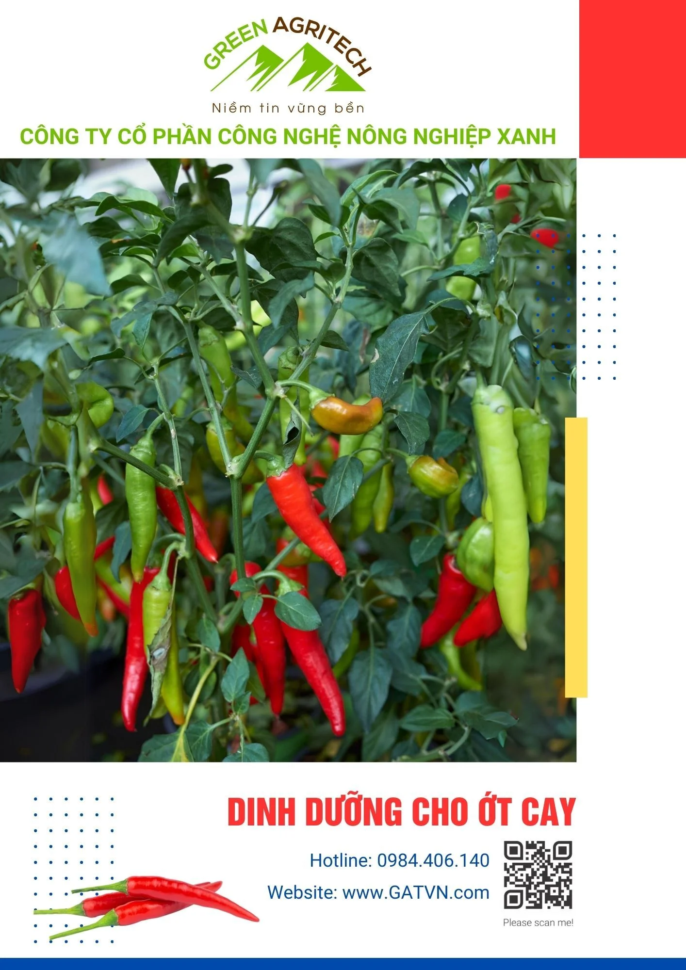 Dinh dưỡng cho ớt cay - Phân bón hòa tan Gatit