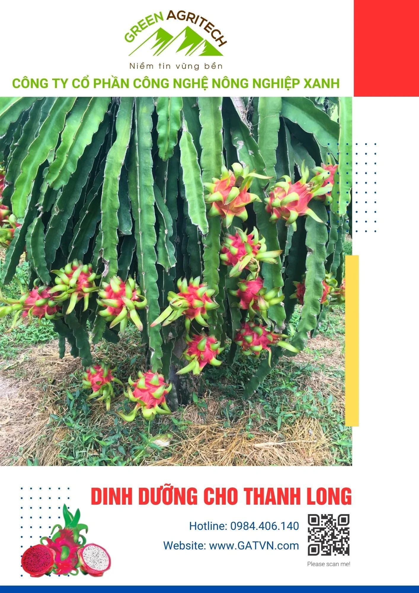 Dinh dưỡng cho thanh long - Phân bón hòa tan Gatit