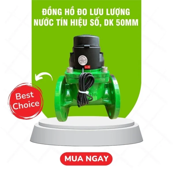 Đồng hồ đo lưu lượng nước tín hiệu số, DK 50MM