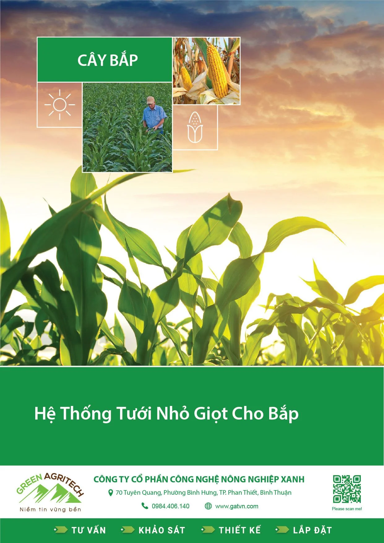 Hệ thống tưới nhỏ giọt cho cây bắp