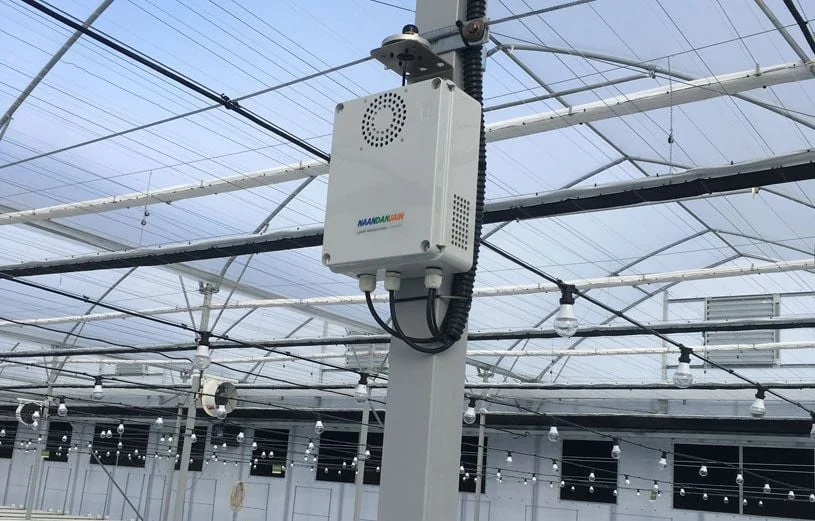 Thiết bị đo độ quang hợp