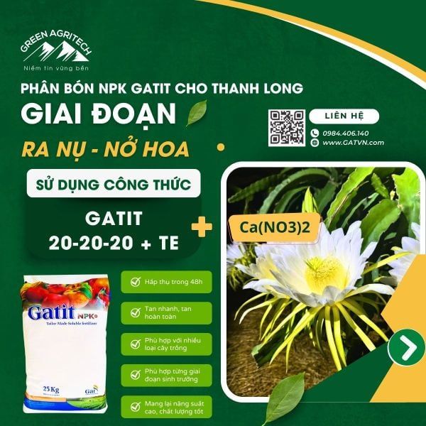 Công thức phân bón hòa tan Gatit cho thanh long