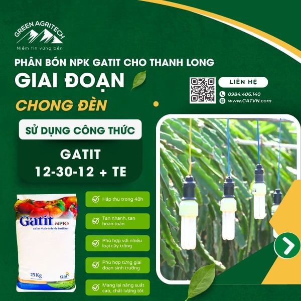 Công thức phân bón hòa tan Gatit cho thanh long