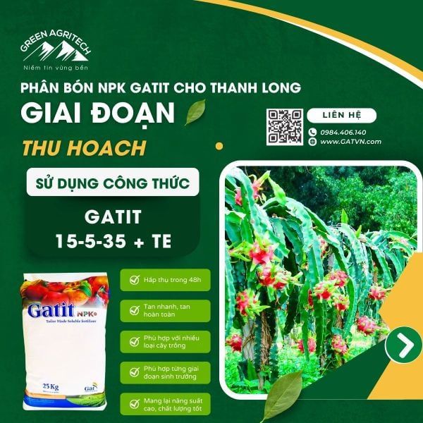 Công thức phân bón hòa tan Gatit cho thanh long