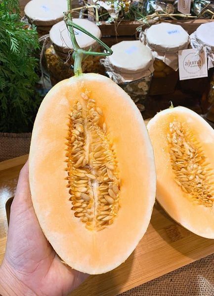 Hệ thống tưới nhỏ giọt cho dưa lưới