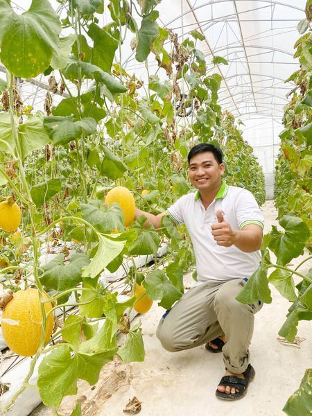 Lắp Đặt Hệ Thống Tưới Dưa Lưới: Tiết Kiệm Nước, Giảm Chi Phí