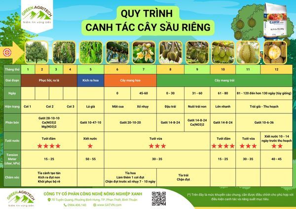 Phân bón hòa tan cho sầu riêng